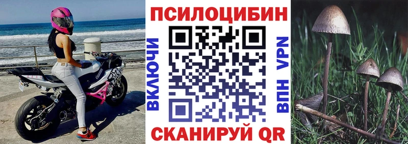 Псилоцибиновые грибы Psilocybine cubensis  как найти закладки  omg tor  Яровое 